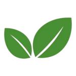 Icono de hojas verdes de Saneamiento RAMGL, especialistas en limpieza de pozos sépticos. Contactar con RAMGL